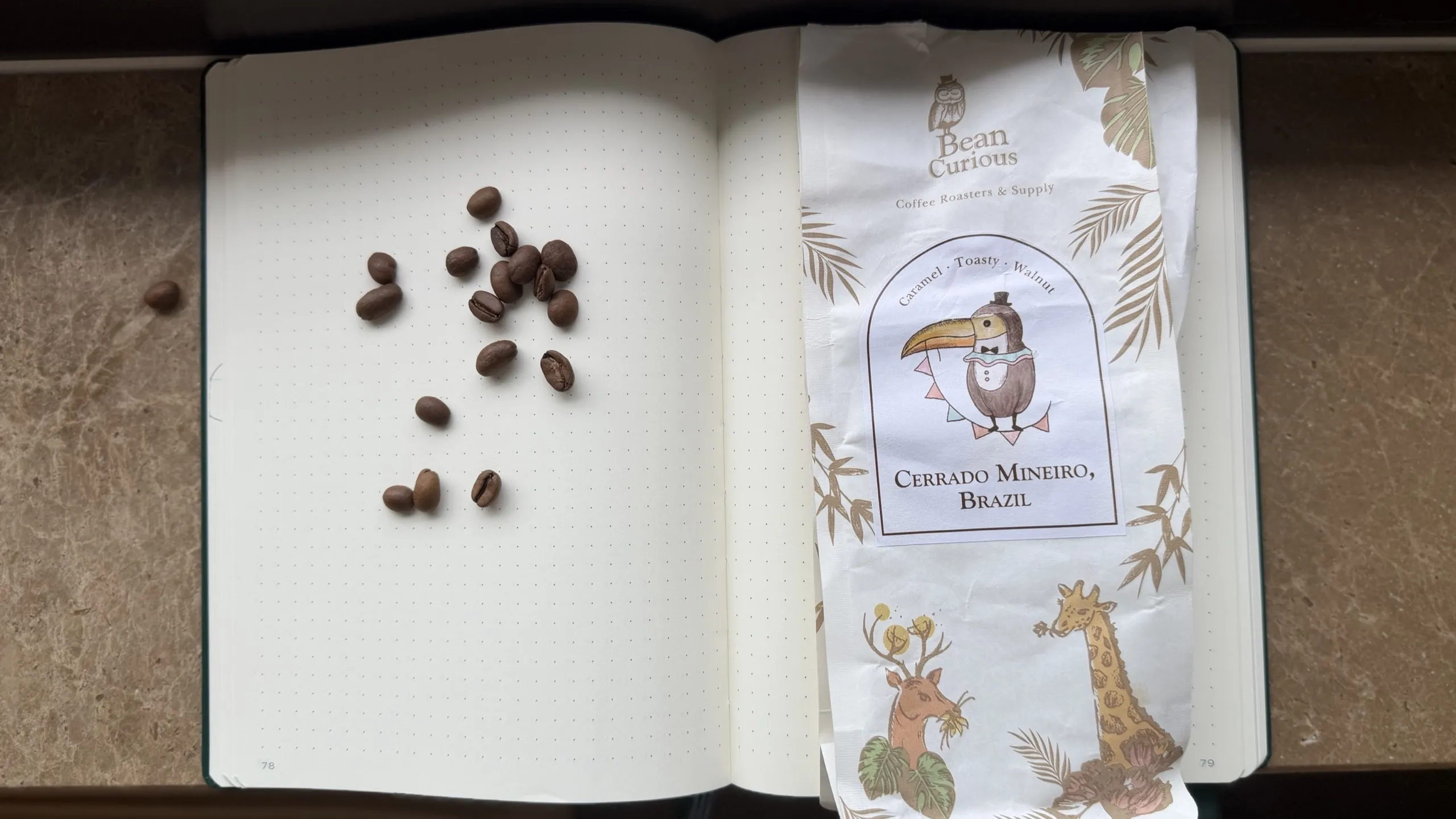 BeanCurious Cerrado Mineiro packet beside coffee beans on a dotted notebook