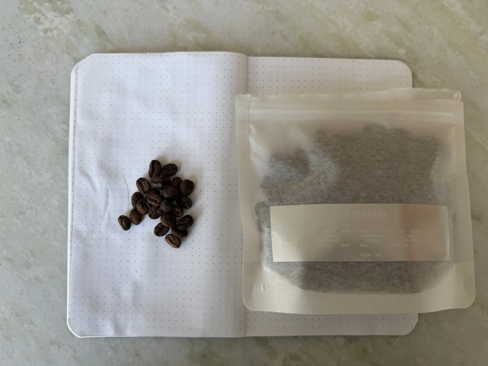 Close-up of coffee beans and a tea bag on an open dotted notebook, placed on a light-colored surface.