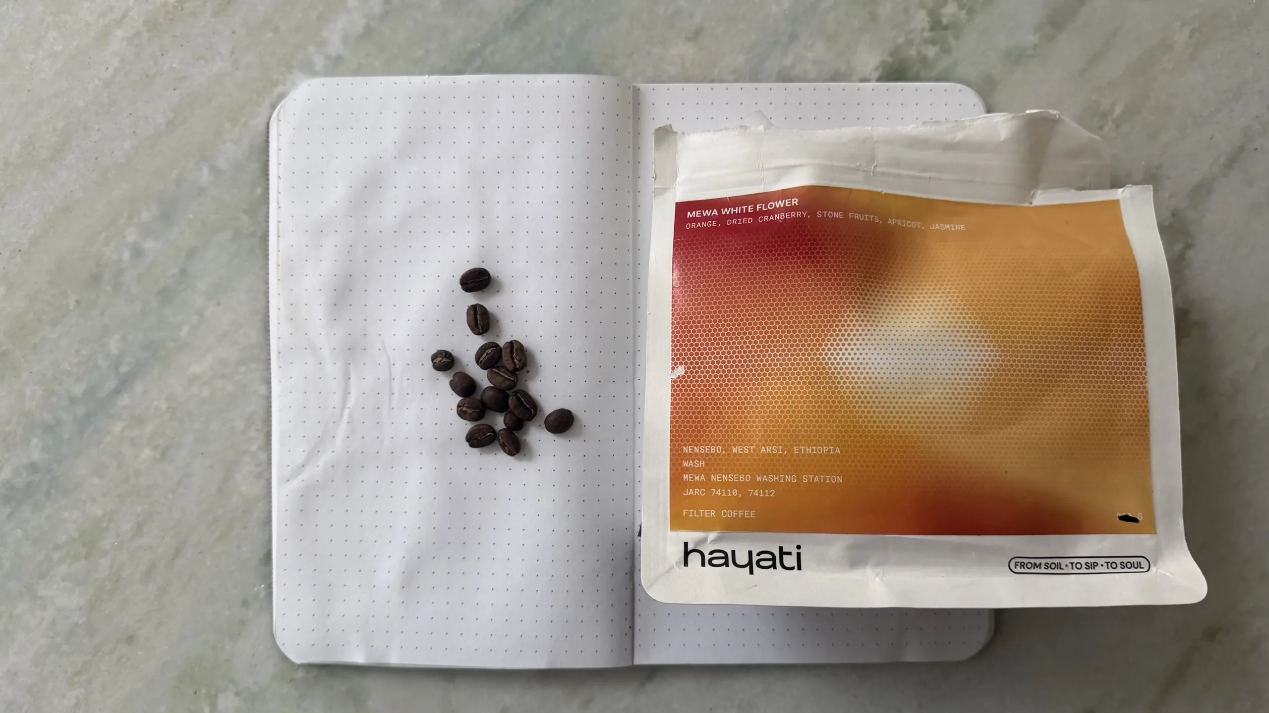 Hayati Coffee Mewa White Flower bag and roasted beans on a dotted notebook.